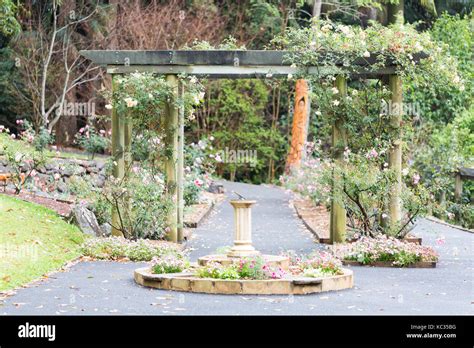 Tamborine Botanical Gardens In The Rain Stock Photo Alamy