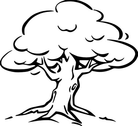 Tree Outline clip art (114797) Free SVG Download / 4 Vector