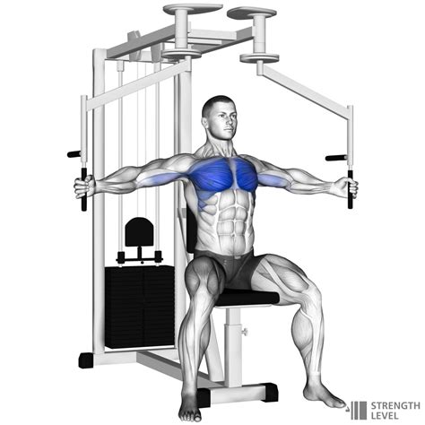 Machine Chest Fly Standards for Men and Women (lb) - Strength Level