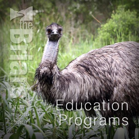 Education Programs at The Briars - Mornington Peninsula Shire