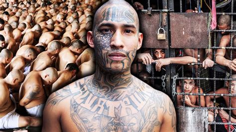 life   ms  gang member youtube