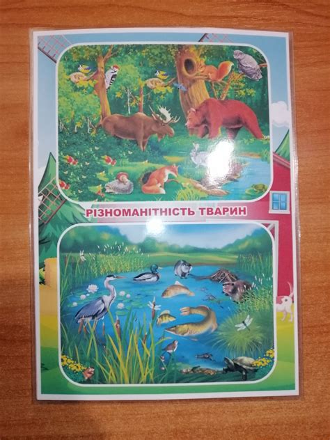 Лепбук на тему “Світ тварин” • Купити