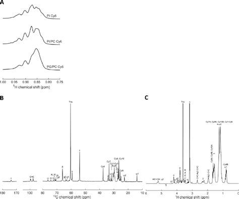 H And C Spectra For Bicelles A Methyl Region Of The H Nmr