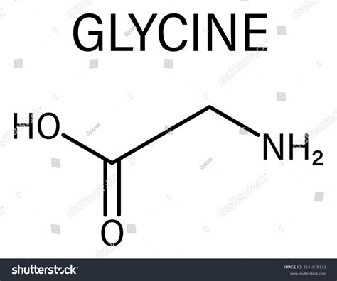 Glycine Gly G Amino Acid Molecule Stock Vector Royalty Free