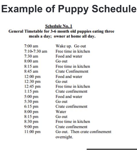Puppy Schedule for Your Home and Garden