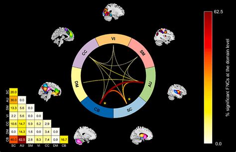 Figure From A Whole Brain Neuromark Resting State Fmri Analysis Of