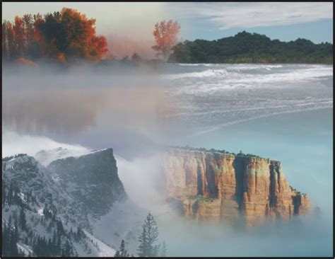 Picture This The Worst Of Amateur Photography