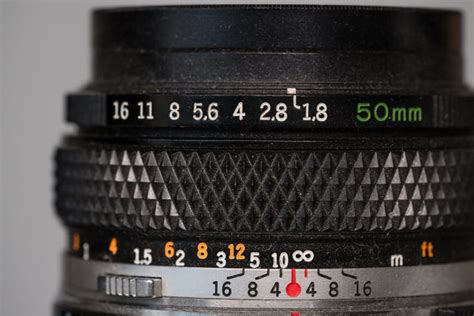 Nikon Z MC 105mm f/2.8 VR S Macro Lens Review