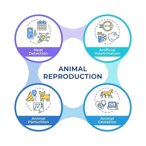 types  animal reproduction rectangle infographic vector stock vector