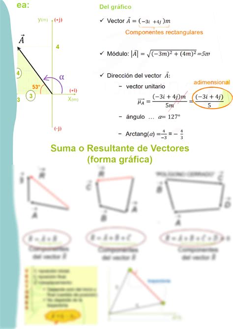 Solution Vectores Y Escalares Studypool