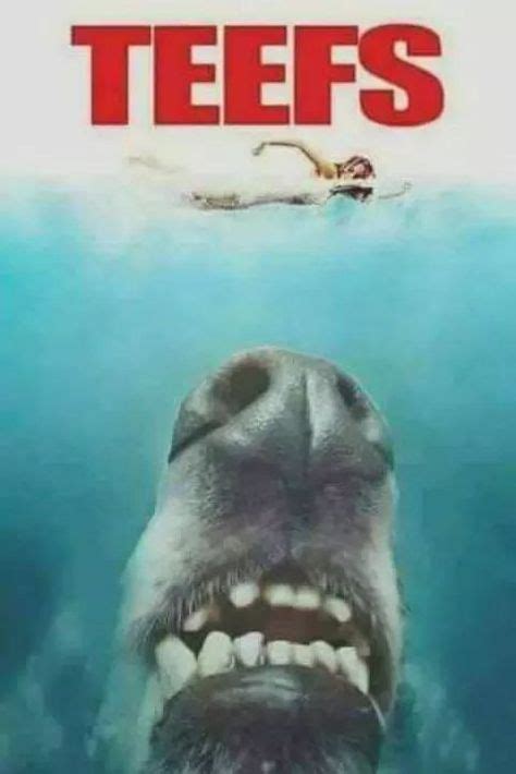 37 Whippet Memes Ideas Whippet Funny Dogs Grey Hound Dog