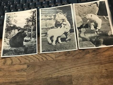 Se produkter som liknar Sex gamla vykort från SKANSEN på Tradera 676158099