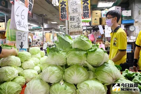 高麗菜價格恐崩盤？胡忠一堅決「今年不出手」 曝價格不跌關鍵 生活焦點 要聞 Nownews今日新聞