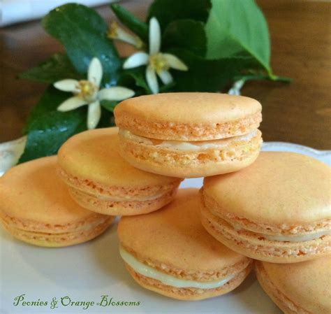 Печенье Макарони Рецепт С Фото Пошагово – Telegraph