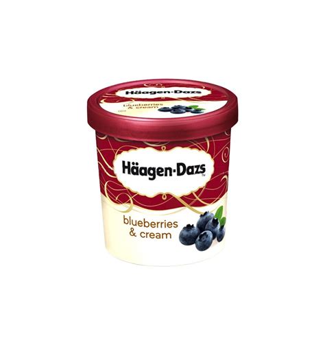 Haagen Dazs Blueberries And Cream Ice Cream 500ml From Supermart Ae