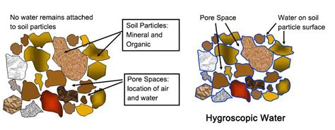 Soil Water Types and How to Measure - Renke