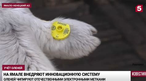 Силтэк — производитель пломбировочных устройств и корпусированных меток