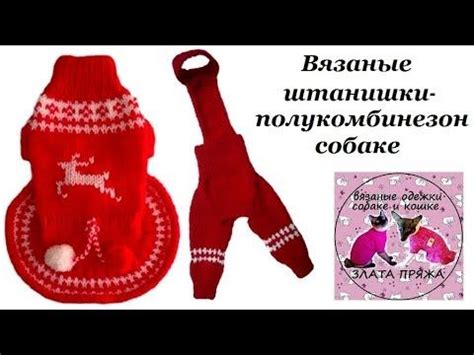Штанишки -полукомбинезон собаке - YouTube | Модели одежды для собак ...