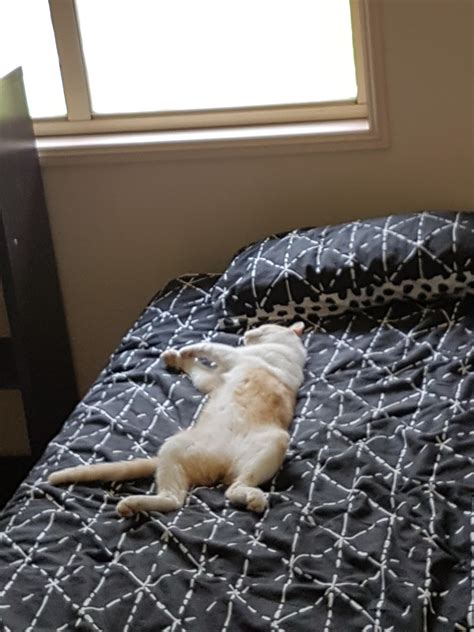 Snooze Time : r/OneOrangeBraincell