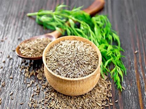 cultivate cumin jeera  beginner guide
