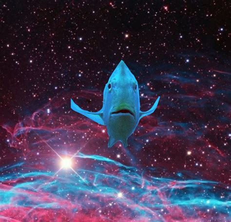 Create Meme Abstract Space Background Fish In Space The Universe In