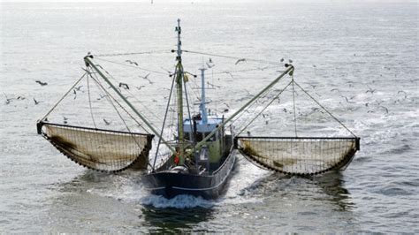 Trawling - The Controversial Fishing Method - American Oceans