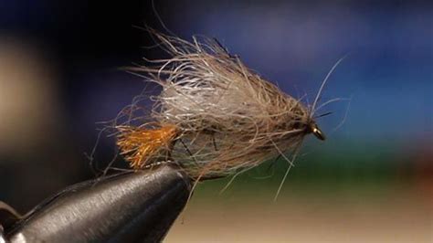 Iris Caddis Fly Patterns Caddis Fly Fishing Flies Pattern Fly Tying