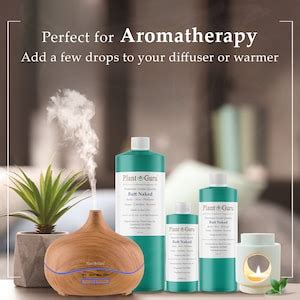 Butt Naked Fragrance Oil Scented Oils For Body Butter Candle Making Soap Making Perfume And