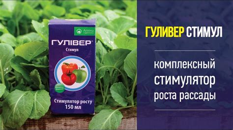 Гуливер Стимул – комплексный стимулятор роста рассады - YouTube