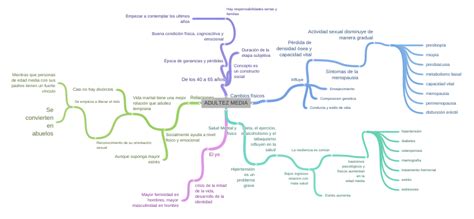 Adultez Media Coggle Diagram