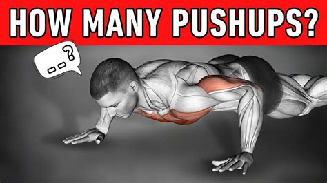 How Many Pushups Should You Do A Day To Build Muscle Step By Step