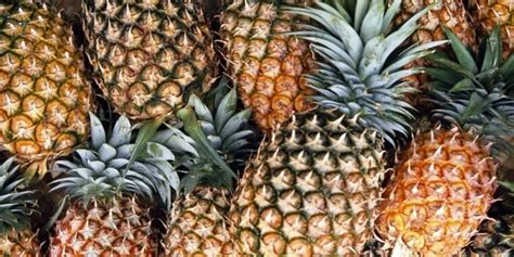 Eli OnlyFans The Naked Pineapple Review Leaks Videos Nudes