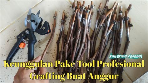 Tutorial Professional Grafting Tool Buat Nyambung Anggur Cara Baru