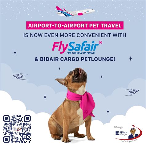 BidAir Cargo PetLounge