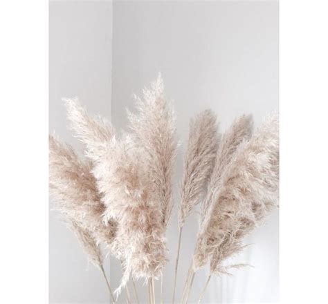 Ideas De Fondos Nude Para Guardar Hoy Decoraci N De Unas Iphone Fondos De Pantalla Ideas