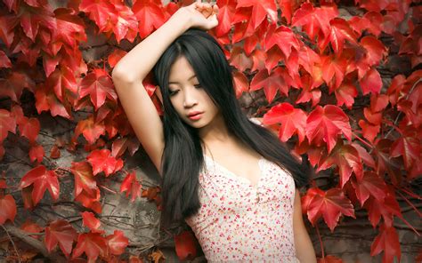K Asian Brunette Girl Foliage Hands HD Wallpaper Rare Gallery