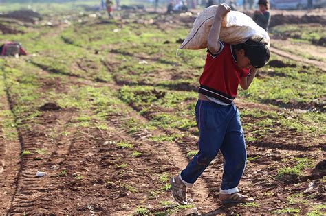 Un Cuts Food Aid To Syrian Refugees In Turkey Daily Sabah