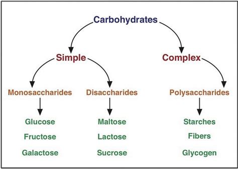Carbohydrates Carbohydrates Biology Biochemistry Notes Teaching
