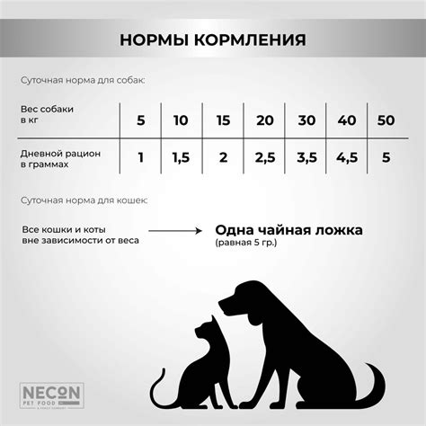 Necon Salmoil Healthy Skin and Shiny Coat Ricetta №5 Superomega ...