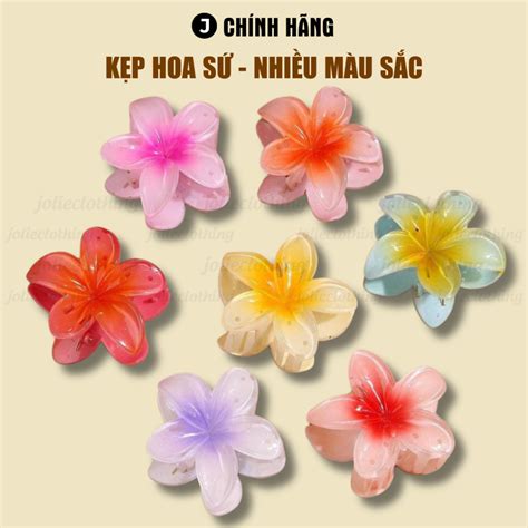 Flash Sale K P Hoa S Hot Xu H Ng M I M U Th Ch Pastel K P T C Hoa S C Ng Cua Th I Trang I