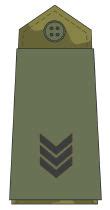 Ranks combat field uniforms soldiers Norwegian army Norway land ground ...