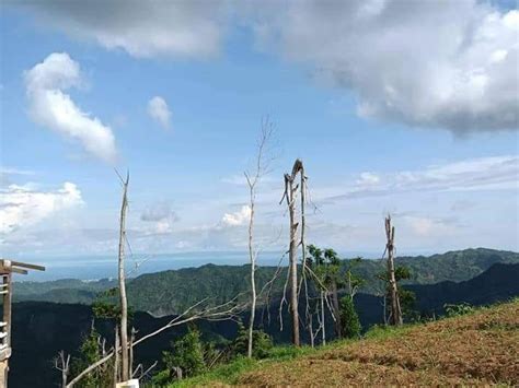 500 Sqm Raw Land For Sale In Busay Cebu City Cebu Lots 🚜 June 2025