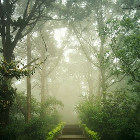 Stream Episode Vertrouwen Op Het Niet Weten By Sacred Sex Academy Podcast Listen Online For