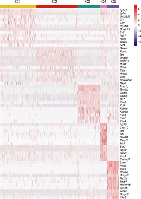 ScRNA Seq Analysis Of Tumor Infiltrating CD8 T Cells Heat Map Of The