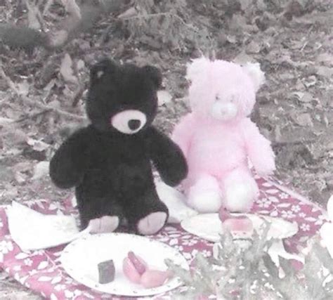 𝘴𝘰𝘤𝘪𝘢𝘭𝘴 Wiki Lesbian Dating Amino