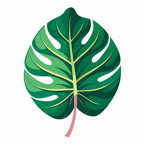 Tropical Leaf Clip Art Vector Illustration Design | Premium AI ...