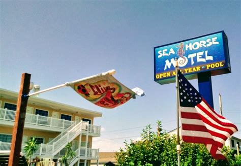 Lbi Sea Horse Motel Sea Horse Motel