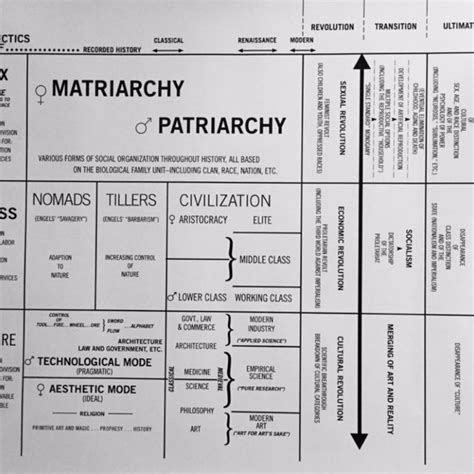 Shulamith Firestone The Dialectic Of Sex The Case For A Feminist