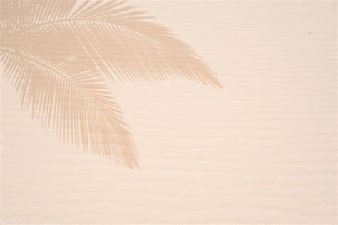 Premium Photo Tropical Beach Sand With Shadows Of Palm Tree Leaves In