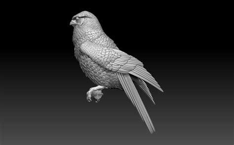 D Printed Falcon By Explorerpaydi Pinshape